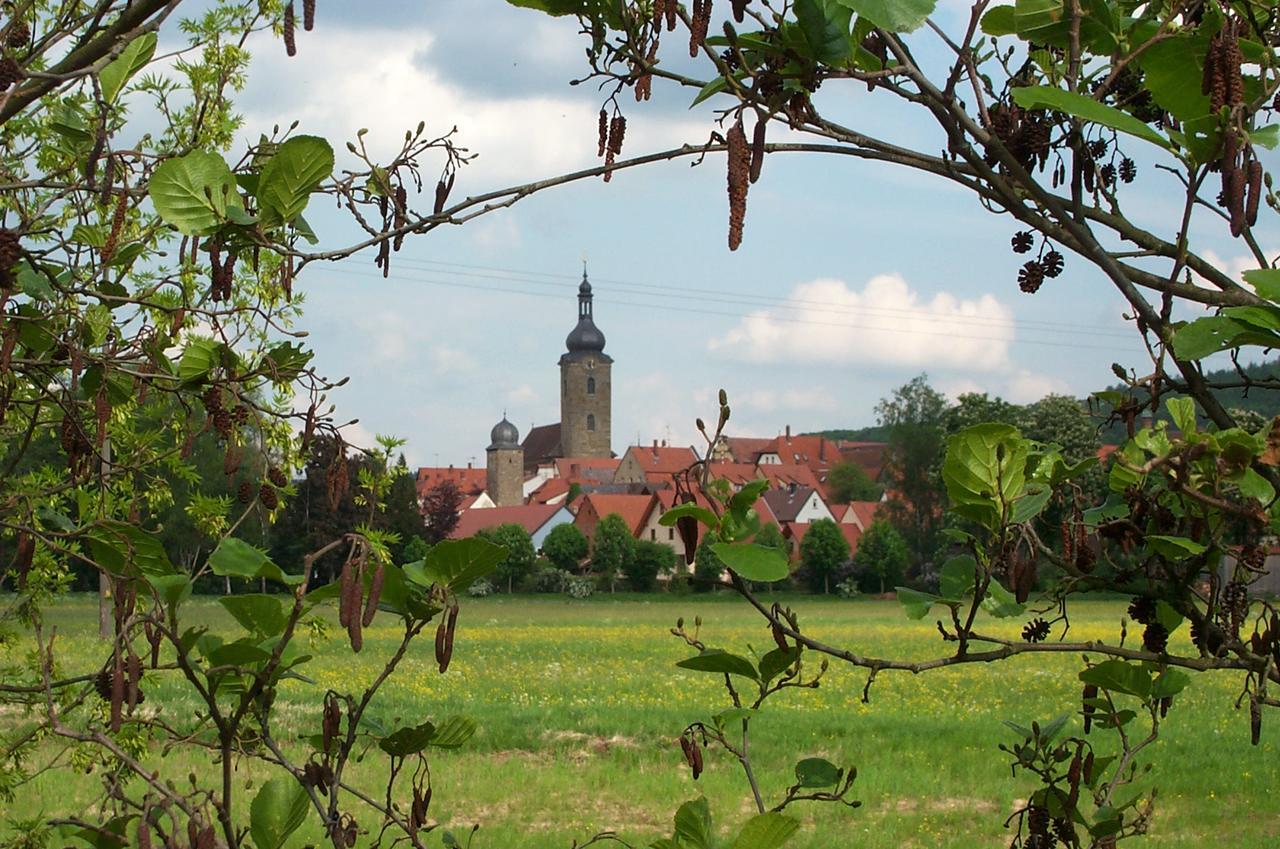 Ferienhaus Villa Korn Ebern Екстер'єр фото